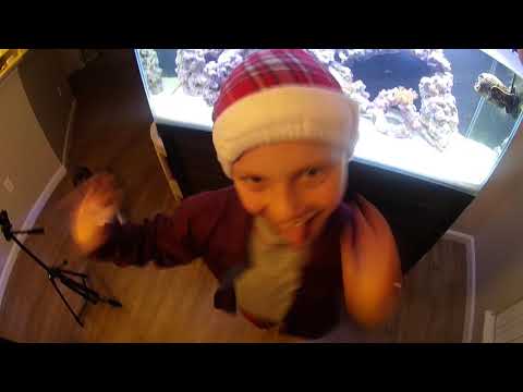 Fluval M90 all in one reef setup review