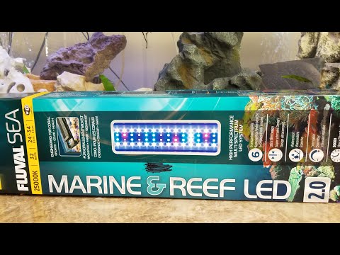 Fluval marine and reef LED 2.0 review