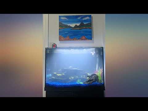 Fluval Plant 3.0 LED Planted Aquarium Lighting, 32 Watts, 24-34 Inches review