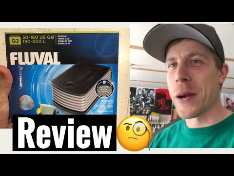 Fluval Q2 Review Air Pump Q1 and Q3 Series