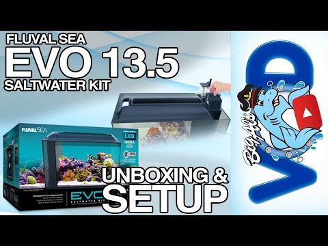 Fluval SEA EVO 13.5 Saltwater Kit Unboxing & Setup | BigAlsPets.com