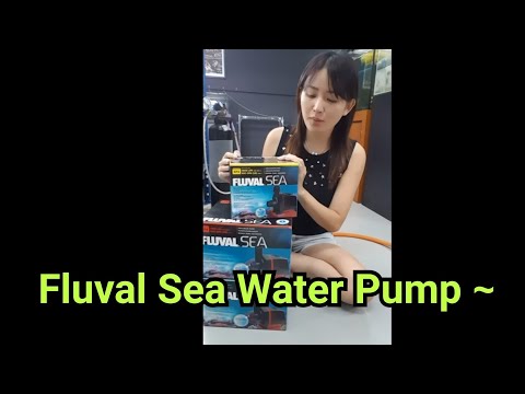 Fluval sea water pump