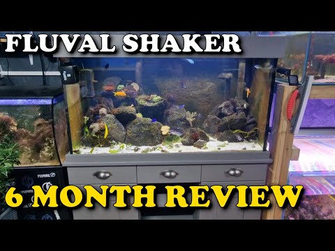 FLUVAL SHAKER after 6 MONTHS Review | Is it GOOD? Does it LAST? Can it run as a Saltwater Aquarium?