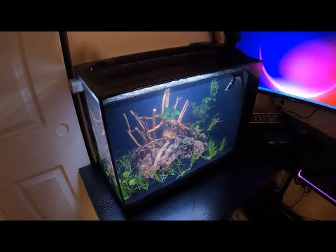 Fluval Spec 16 Review