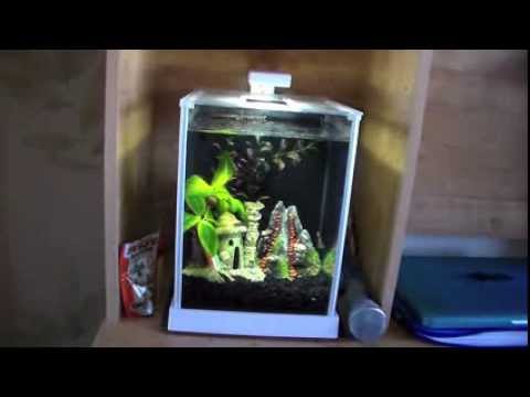 Fluval Spec 2.5 Gallon Aquarium Review