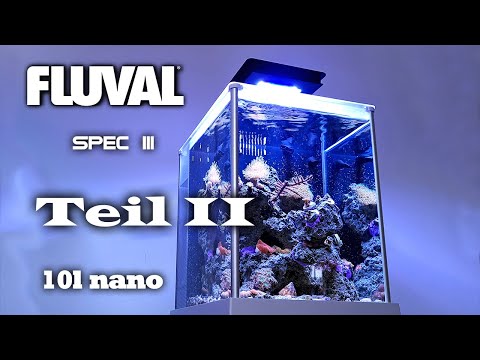 Fluval Spec Nanoaquarium mit Marine LED Teil II