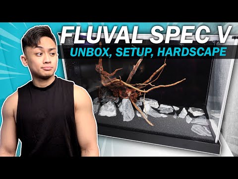 FLUVAL SPEC V 5 Gallon Aquarium | Unboxing and Setup