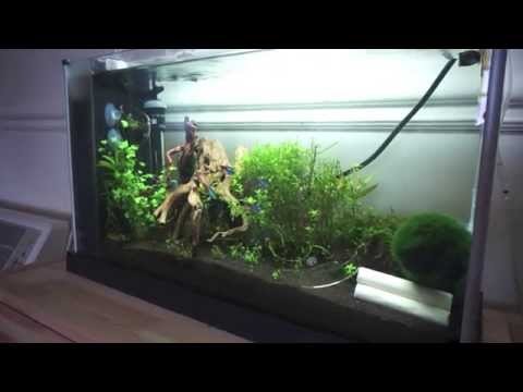 Fluval Spec V Planted Nano Tank