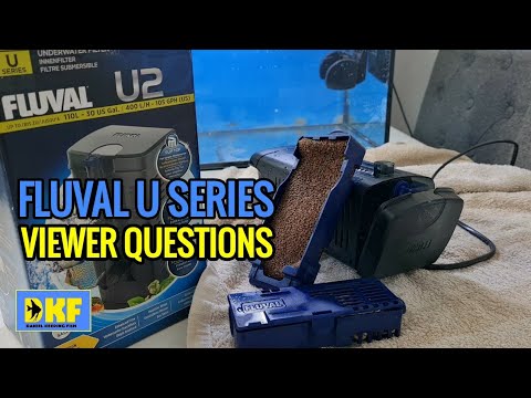 Fluval U Series Filters – viewer questions.