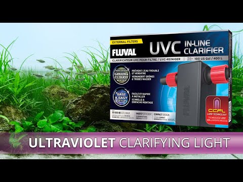 Fluval UVC In-Line Clarifier | Unboxing & Installation
