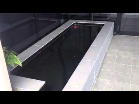 Formal goldfish pond outside the new Aqua One building