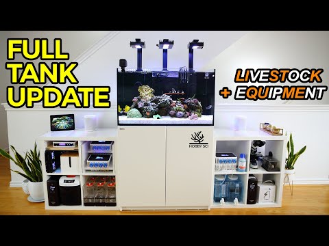 Full Livestock and Equipment Overview – Red Sea Reefer 250