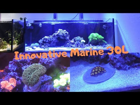 Full Update On My Innovative Marine 30L