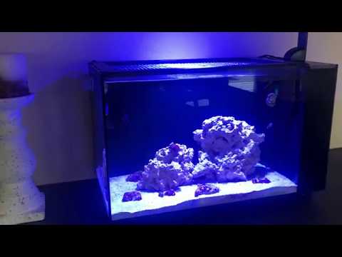 Fully Modded Fluval EVO 13.5 (4K 60FPS)