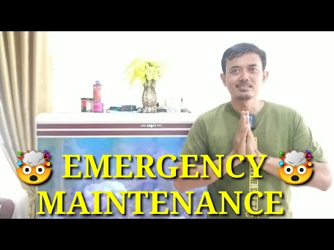 GAWAT!!!!! EMERGENCY MAINTENANCE AQUARIUM LAUT!!!!