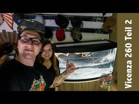 Geburtstagsüberraschung  Teil 2  Fluval Vicenza 260 Aquarium