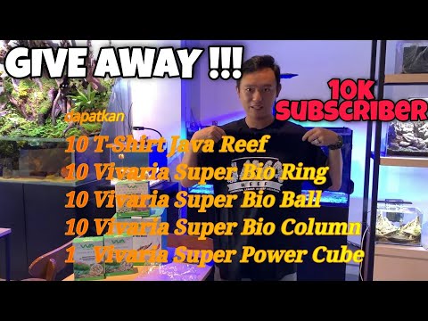 GIVE AWAY 10K SUBSCRIBER JAVA AQUATIC INDO | AQUAKNIGHT V2 PAR NYA MELEDAK !