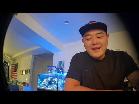 Goodfella Reefers Kessil ap9x review and thoughts!