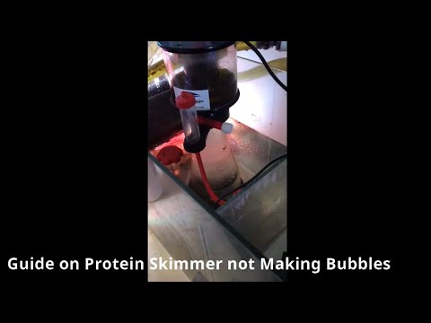 Guide on Protein Skimmer not Making Bubbles