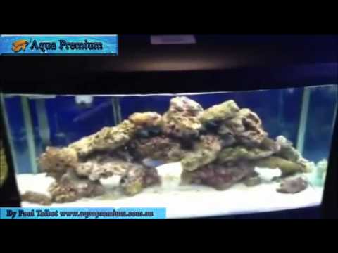 Have you seen the aqua one aquarium range