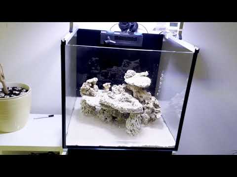 Hello my new love – Red Sea Reefer 200XL