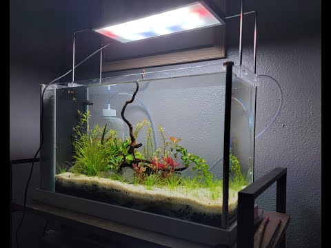 HIgh Tech Planted 5 Gallon Aquarium – Fluval Spec V Aquascape