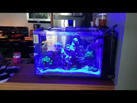Hipargero AquaKnight A029 LED light on Fluval Evo 13.5
