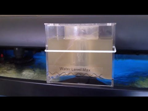 HOB Reef Octopus BH2000 skimmer in action