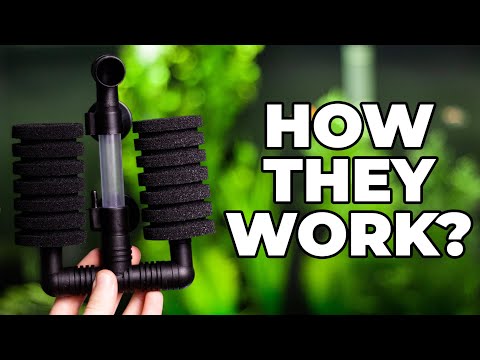 How Do Sponge Filters Work?