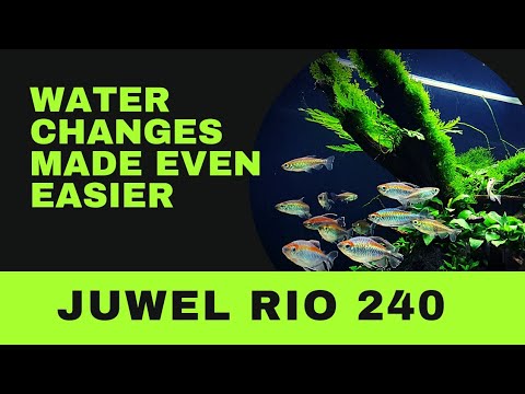 HOW I DO MY WATER CHANGES ON THE JUWEL RIO 240, NOW EVEN EASIER 2021