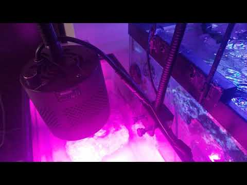 How I fixed my kessil H380 light fixture three years later