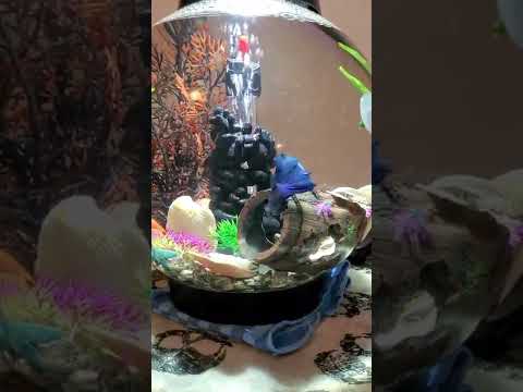 How I slowed my Biorb airflow down for my Betta.