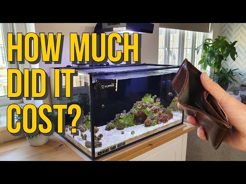 How Much Did It Cost To Set Up My Innovative Marine 20 Gallon Reef Tank?