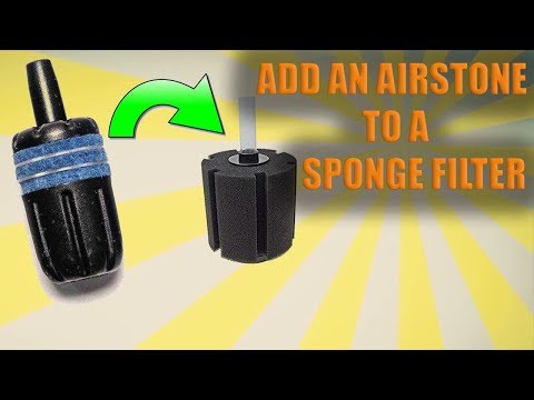HOW TO ADD AN AIR STONE TO A SPONGE FILTER (2019)