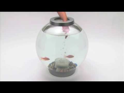 How to change a filter in biOrb Aquarium