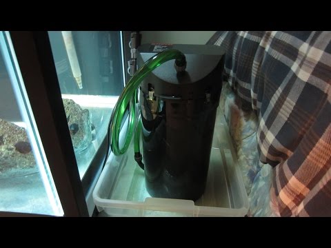 How to Clean an Eheim Classic Canister Filter, Model 2215 & 2217