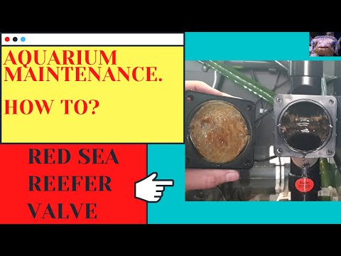 How to Clean the Red Sea Reefer Diaphragm Valve | Marine Fish Tank Guide