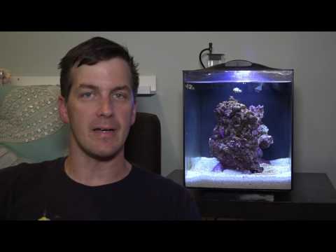 HOW TO: Cycle a Fluval Sea EVO Aquarium (ft. Mr. Saltwater Tank)