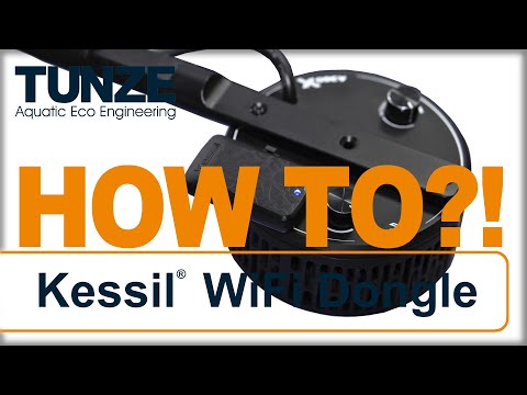 How to?! | Erstellen von Gruppen in der Kessil® APP