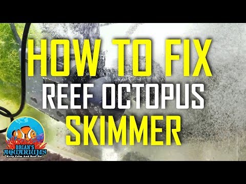 How to fix Reef Octopus Skimmer