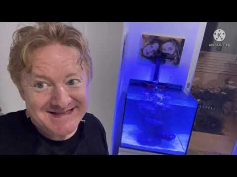 How to install an Aqua One Aqua Sys reef tank! Part 2