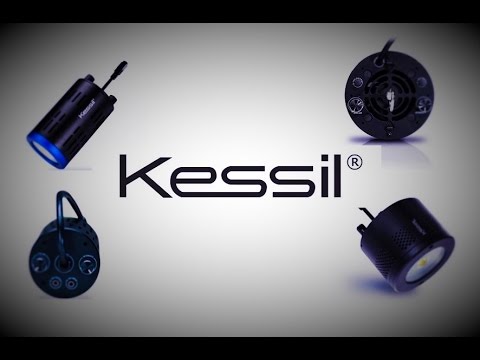 How to maintain and clean ANY kessil light CORRECTLY!!