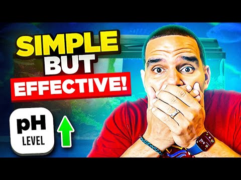 How to raise Water PH? Why does it matter?
