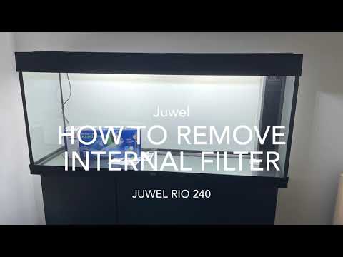 How to remove a aquarium filter. | Farm