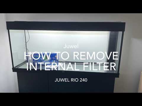 How to remove a Juwel aquarium filter.