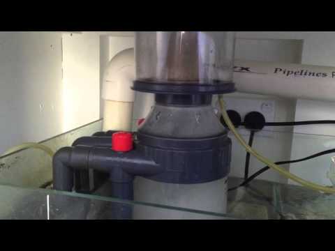 How to set a Protein Skimmer