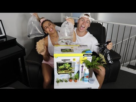 HOW TO SET UP A FISH TANK FOR BEGINNERS (AQUA ONE)