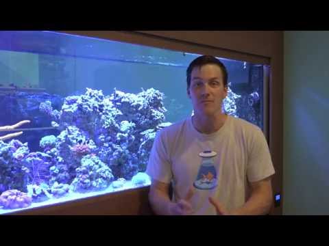 HOW TO: Set Up a Fluval EVO Aquarium (ft. Mr. Saltwater Tank)