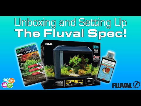 How to set up an Aquarium: The Fluval Spec!