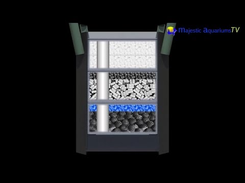 How to set up and use an Aqua One Canister filter